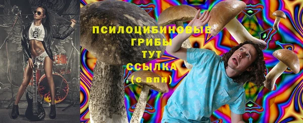 PSILOCYBIN Краснослободск
