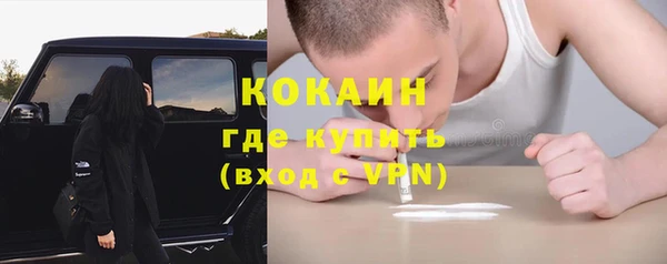 твердый Бикин