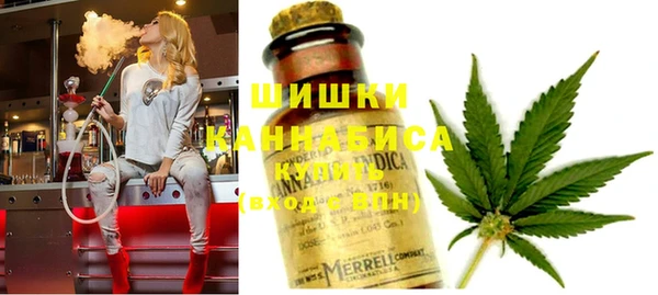 PSILOCYBIN Краснослободск